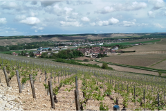 Panorama débourrage Milly